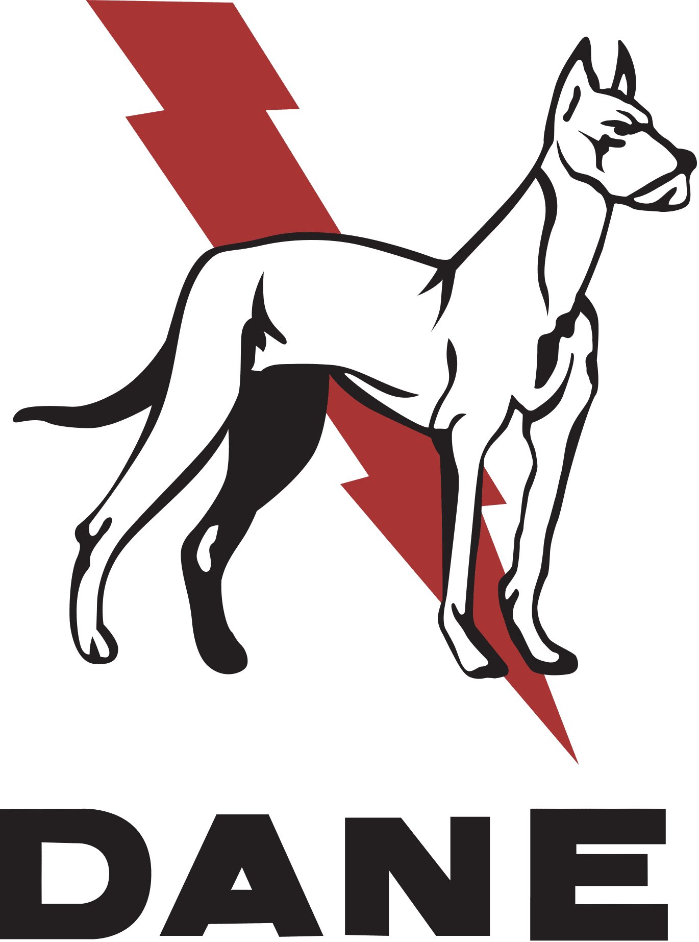 Dane-Electric-WITH-DOG-COLOR-LOGO-223×300-1